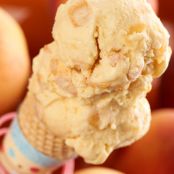 David’s Homemade Summer Peach Ice Cream