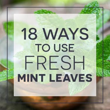 #18 ways to use fresh mint leaves