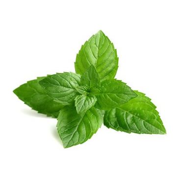 #18 ways to use fresh mint leaves