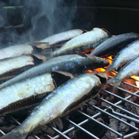 Grilled Sardines